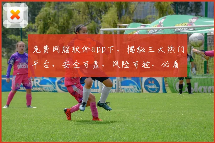 免费网赌软件app下，揭秘三大热门平台，安全可靠，风险可控，必看攻略