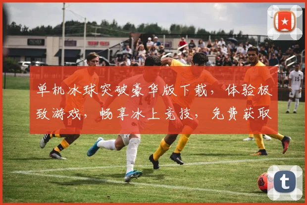 单机冰球突破豪华版下载，体验极致游戏，畅享冰上竞技，免费获取，独家首发